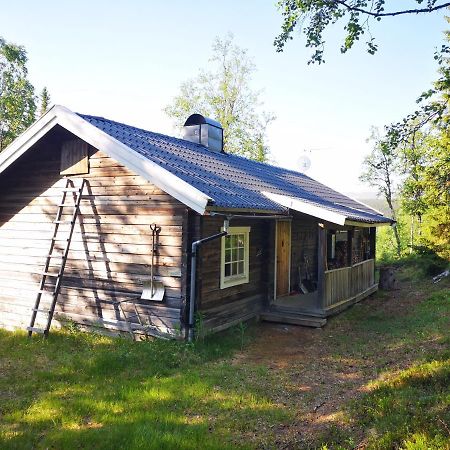 Messlingen, Sjoevaegen 5 Villa Funäsdalen Dış mekan fotoğraf