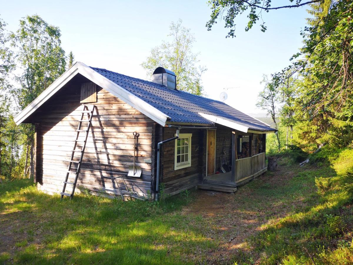 Messlingen, Sjoevaegen 5 Villa Funäsdalen Dış mekan fotoğraf