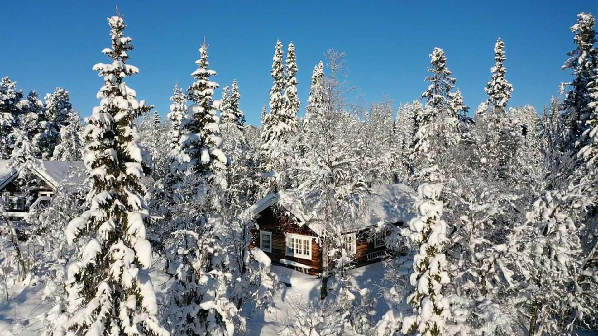 Messlingen, Sjoevaegen 5 Villa Funäsdalen Dış mekan fotoğraf